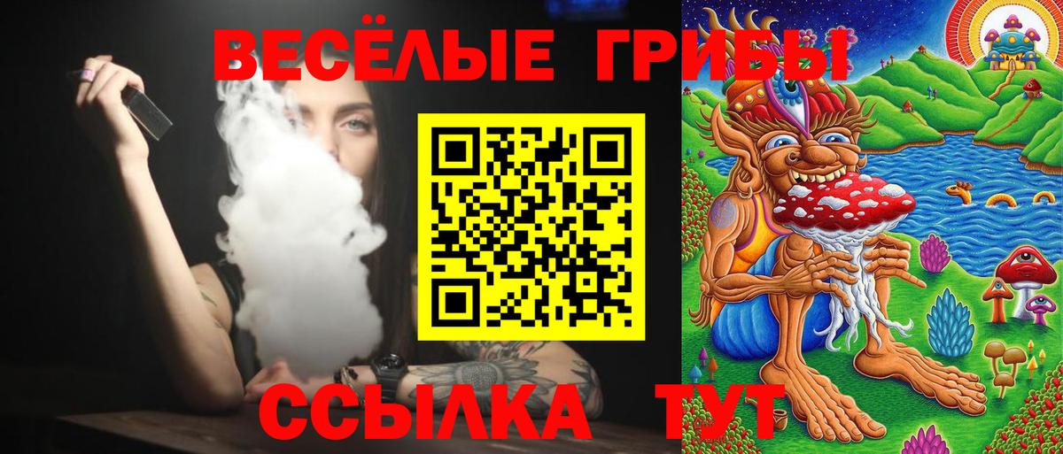 Псилоцибиновые грибы Psilocybine cubensis Сосновоборск